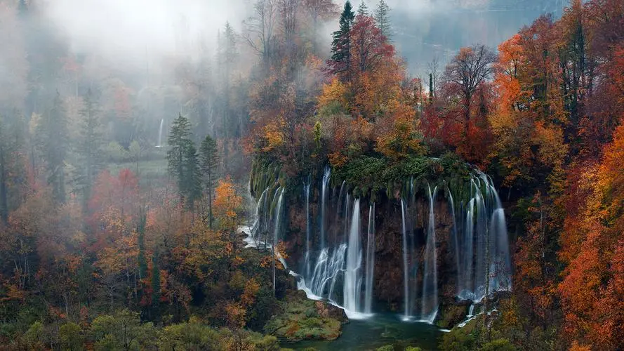 绿色高效创意